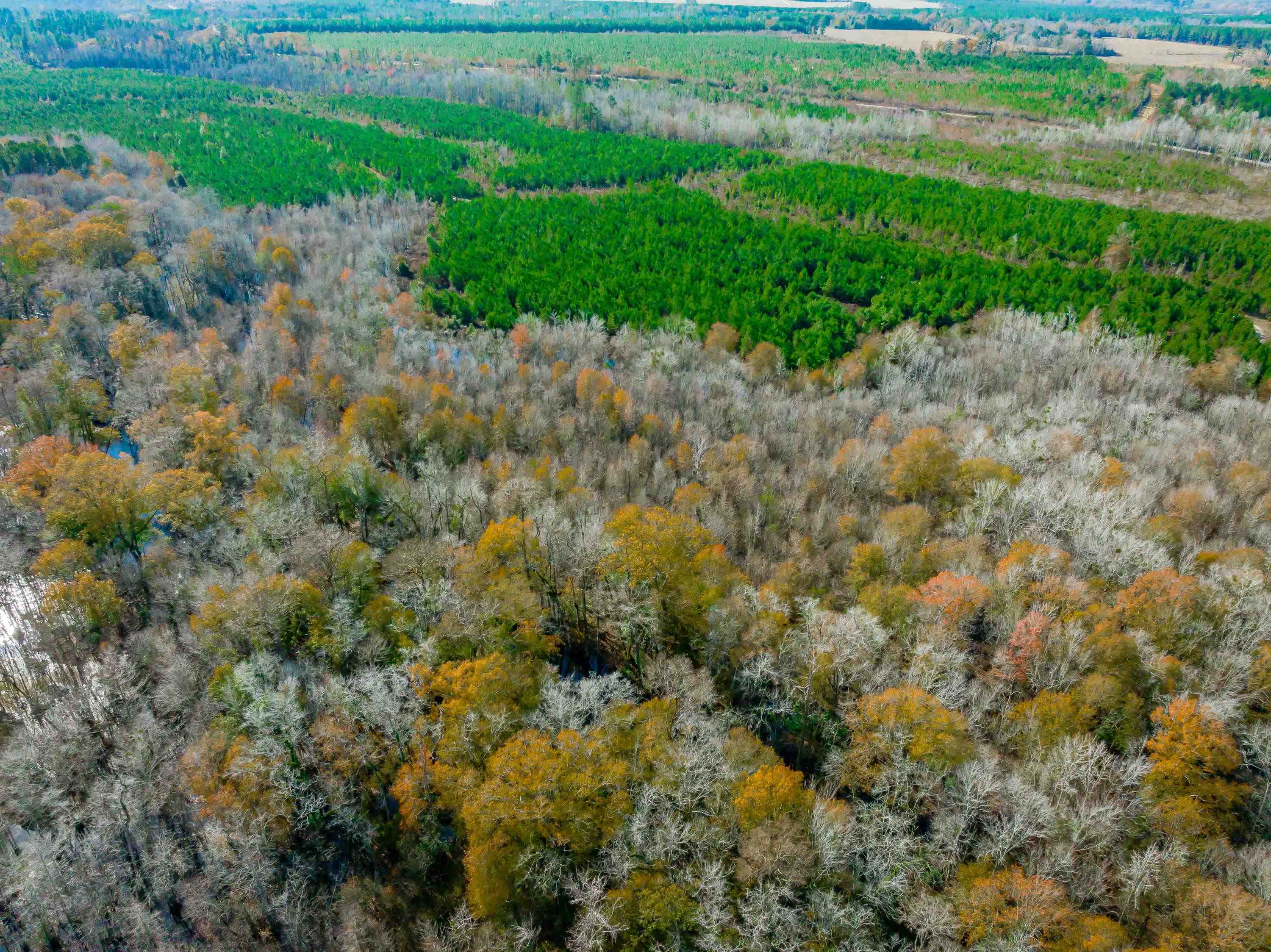 0 Mckays Bridge Road Little Rock, SC 29567 - Photo 13 of 40 Aerial view of property and surrounding area