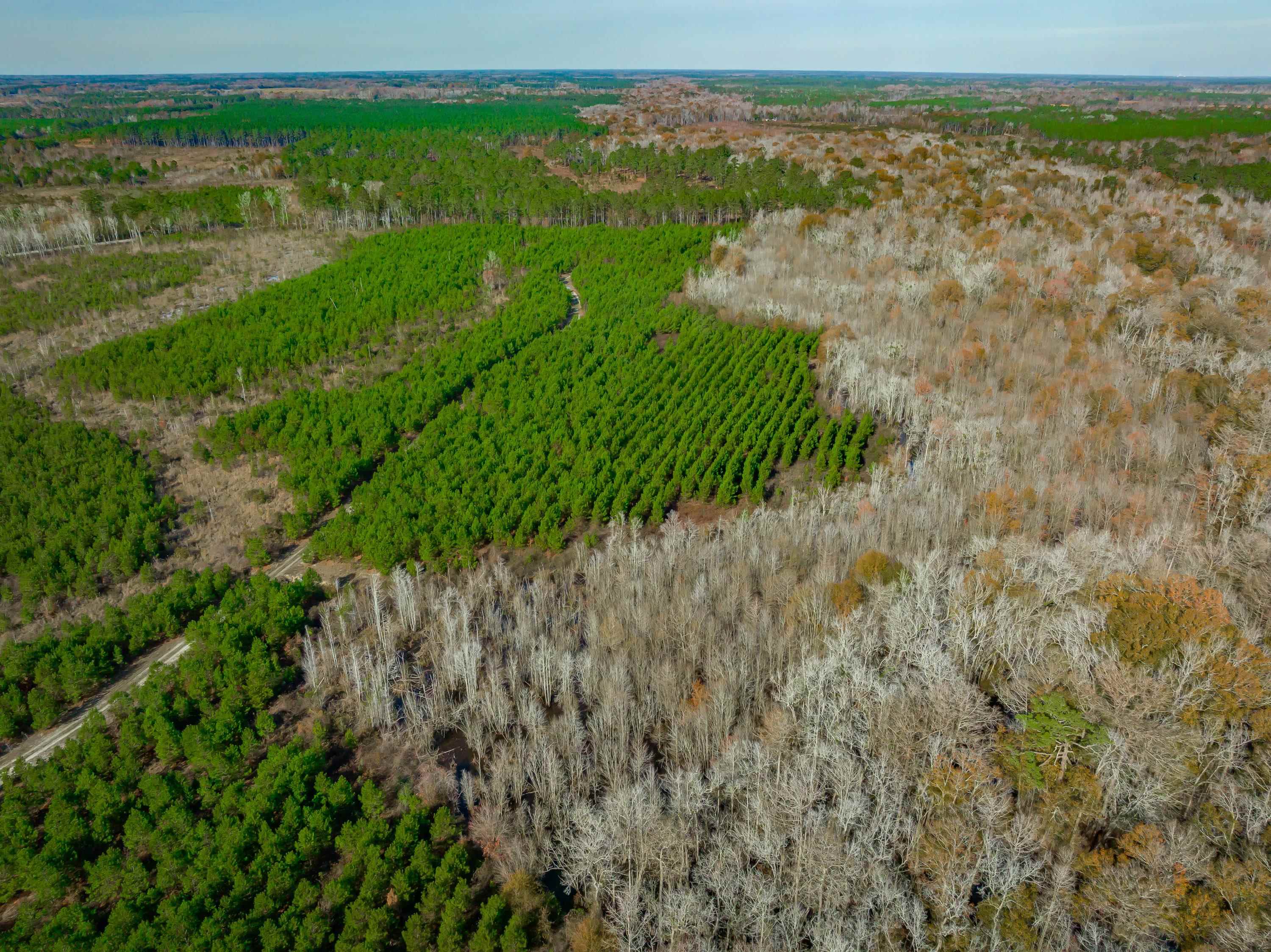 0 Mckays Bridge Road Little Rock, SC 29567 - Photo 14 of 40 Aerial view of property and surrounding area