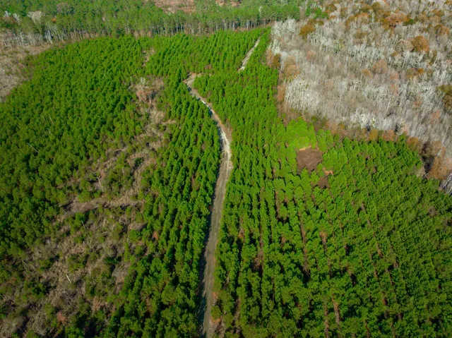 $5,015,330 | 0 Mckays Bridge Road, Little Rock, SC 29567