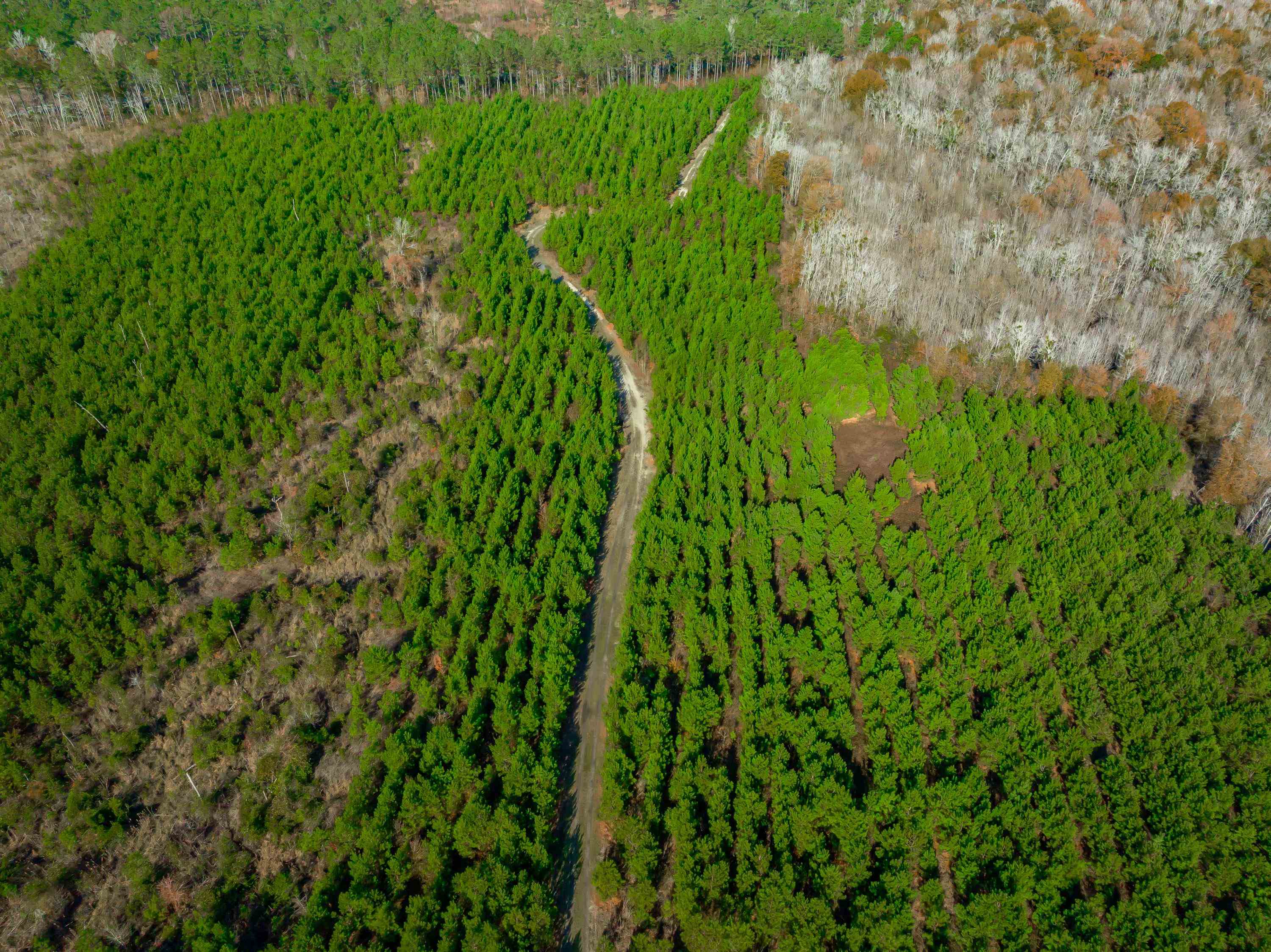 0 Mckays Bridge Road Little Rock, SC 29567 - Photo 15 of 40 Drone / aerial view