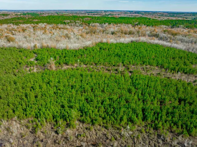 $5,015,330 | 0 Mckays Bridge Road, Little Rock, SC 29567