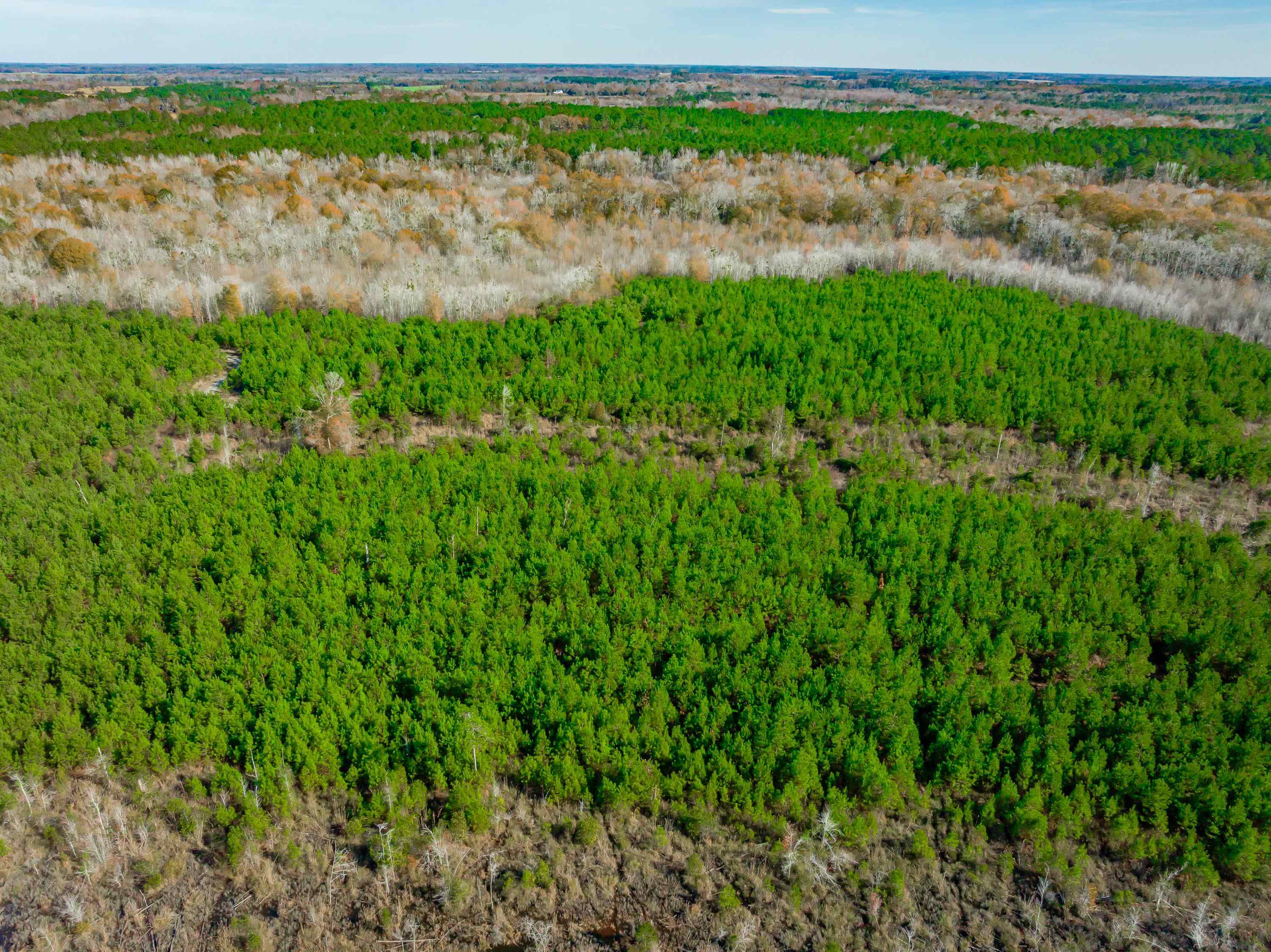 0 Mckays Bridge Road Little Rock, SC 29567 - Photo 16 of 40 Drone / aerial view