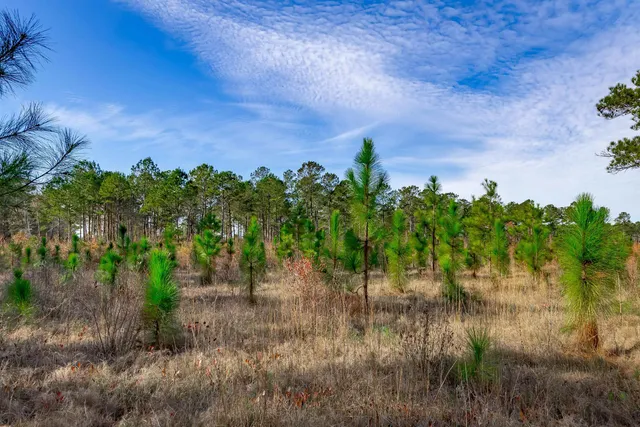 $5,015,330 | 0 Mckays Bridge Road, Little Rock, SC 29567