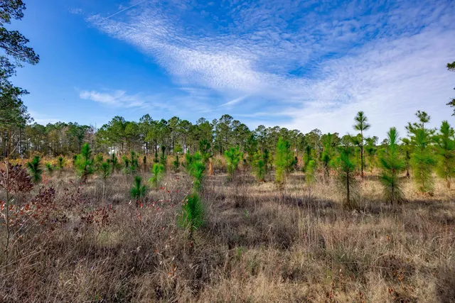 $5,015,330 | 0 Mckays Bridge Road, Little Rock, SC 29567