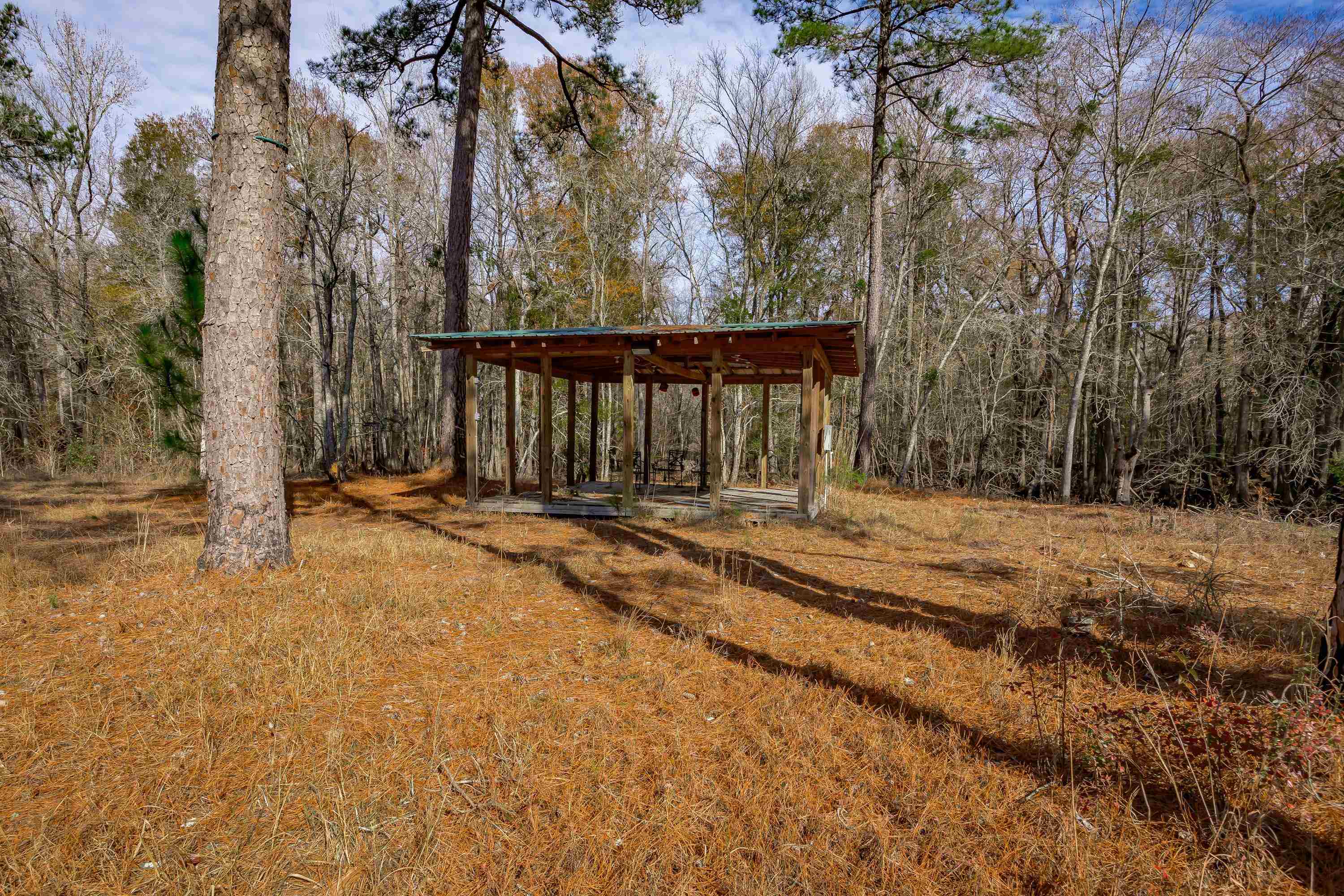 0 Mckays Bridge Road Little Rock, SC 29567 - Photo 21 of 40 View of yard