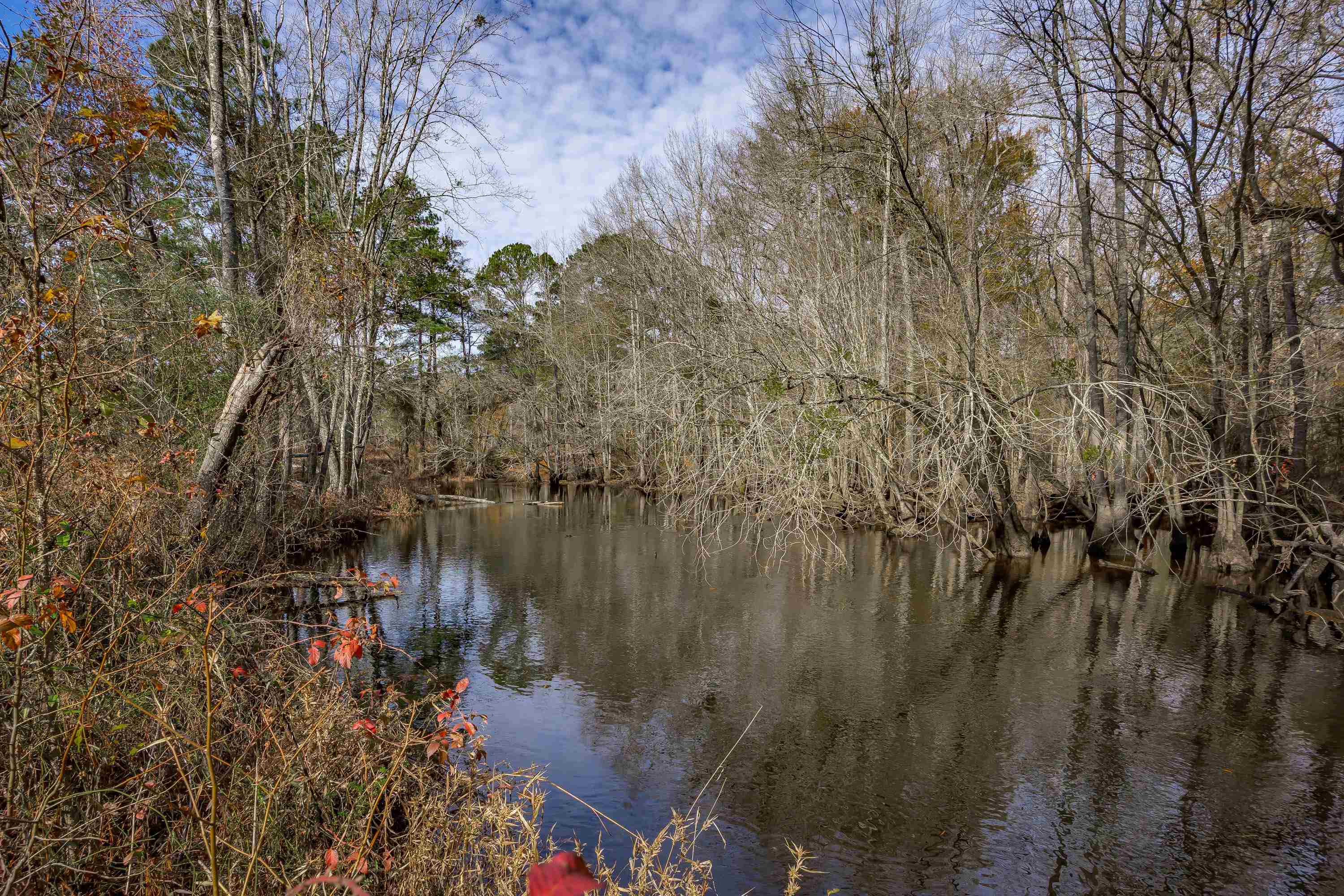0 Mckays Bridge Road Little Rock, SC 29567 - Photo 25 of 40 Water view with a heavily wooded area