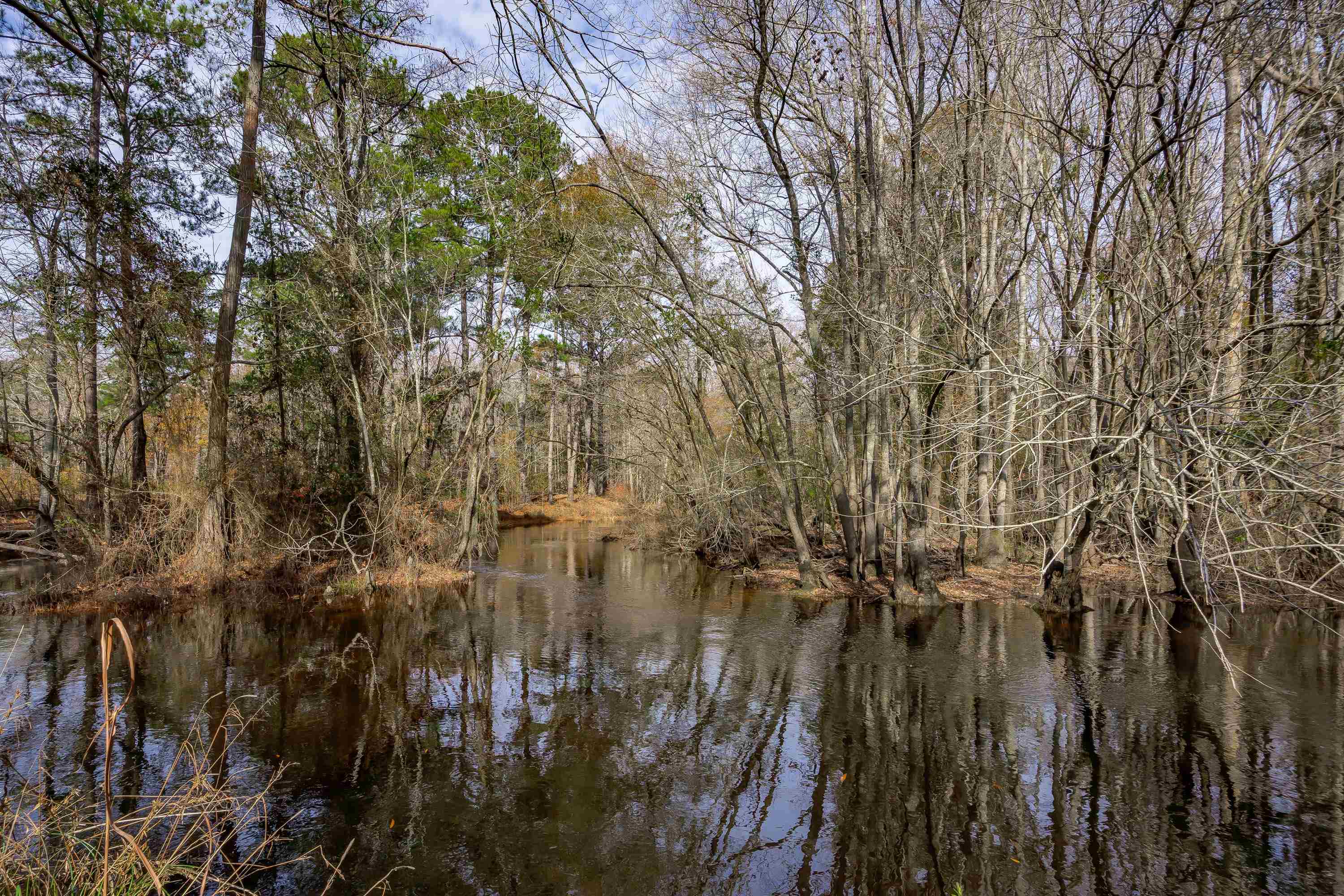 0 Mckays Bridge Road Little Rock, SC 29567 - Photo 27 of 40 Water view with a heavily wooded area