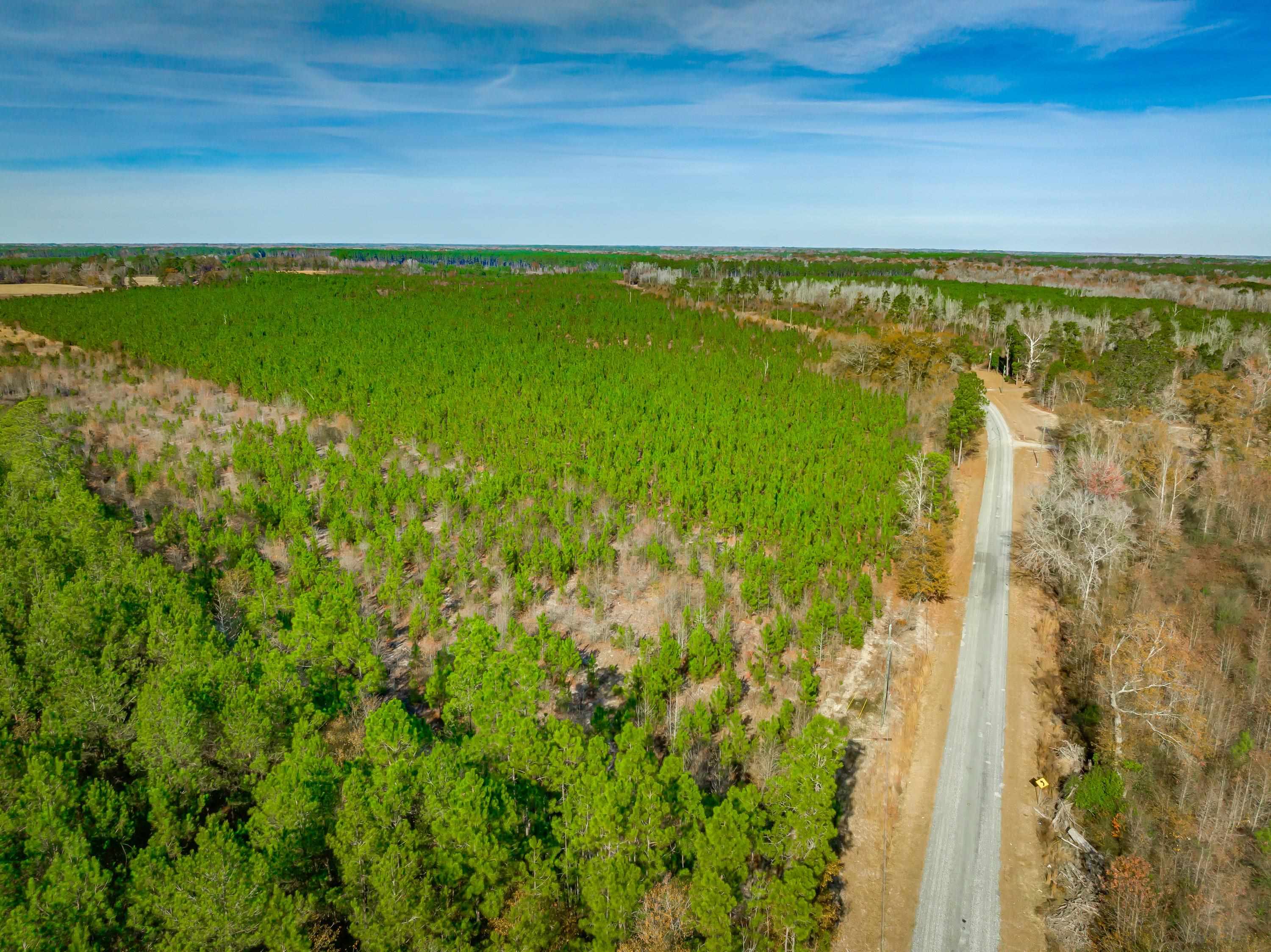 0 Mckays Bridge Road Little Rock, SC 29567 - Photo 29 of 40 View of rural area featuring farmland