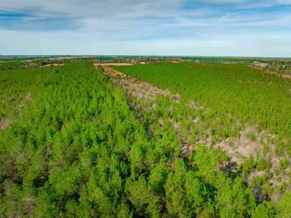 $5,015,330 | 0 Mckays Bridge Road, Little Rock, SC 29567