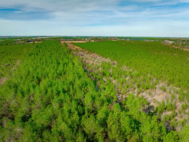 $5,015,330 | 0 Mckays Bridge Road, Little Rock, SC 29567