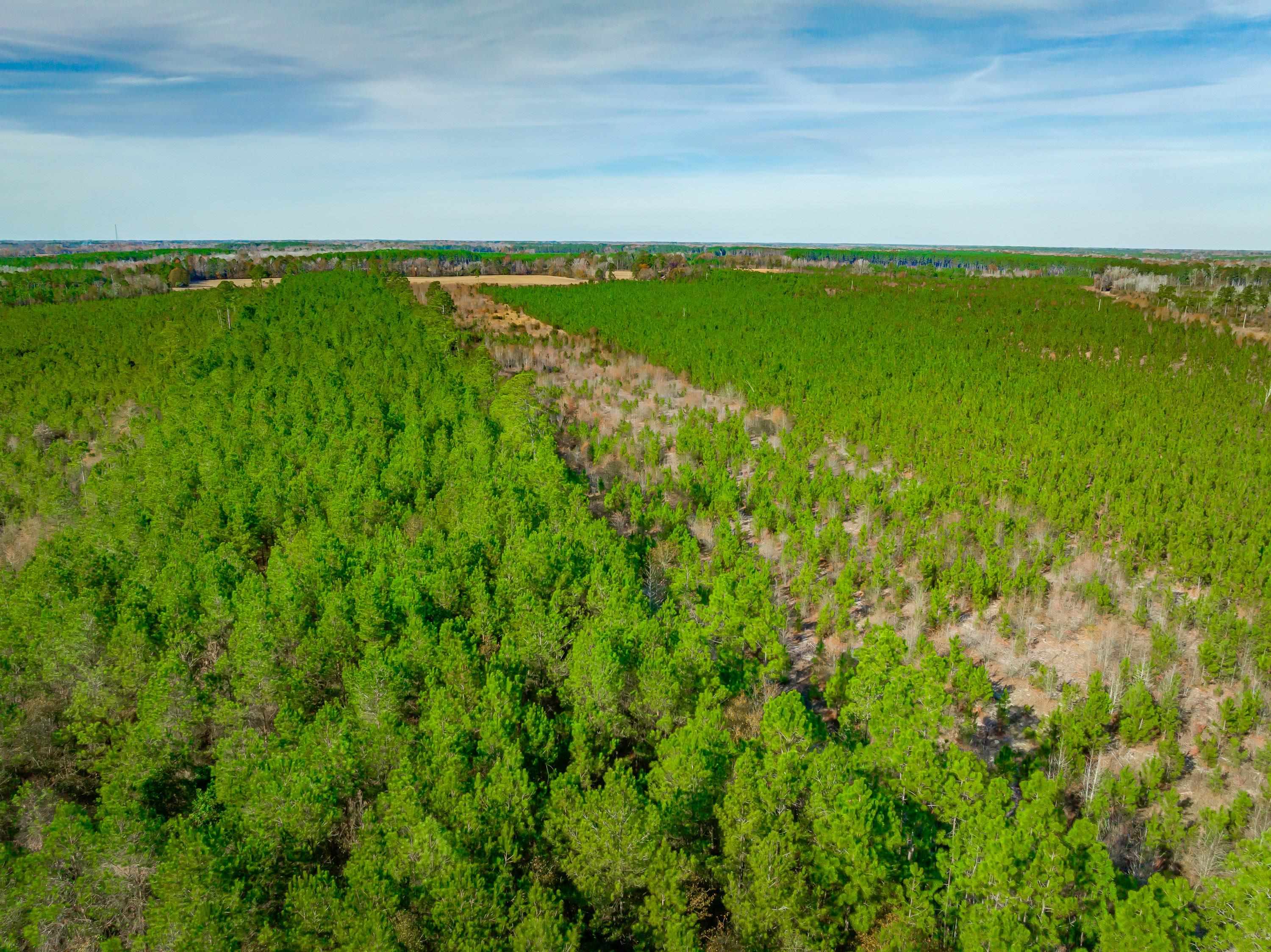 0 Mckays Bridge Road Little Rock, SC 29567 - Photo 30 of 40 Drone / aerial view