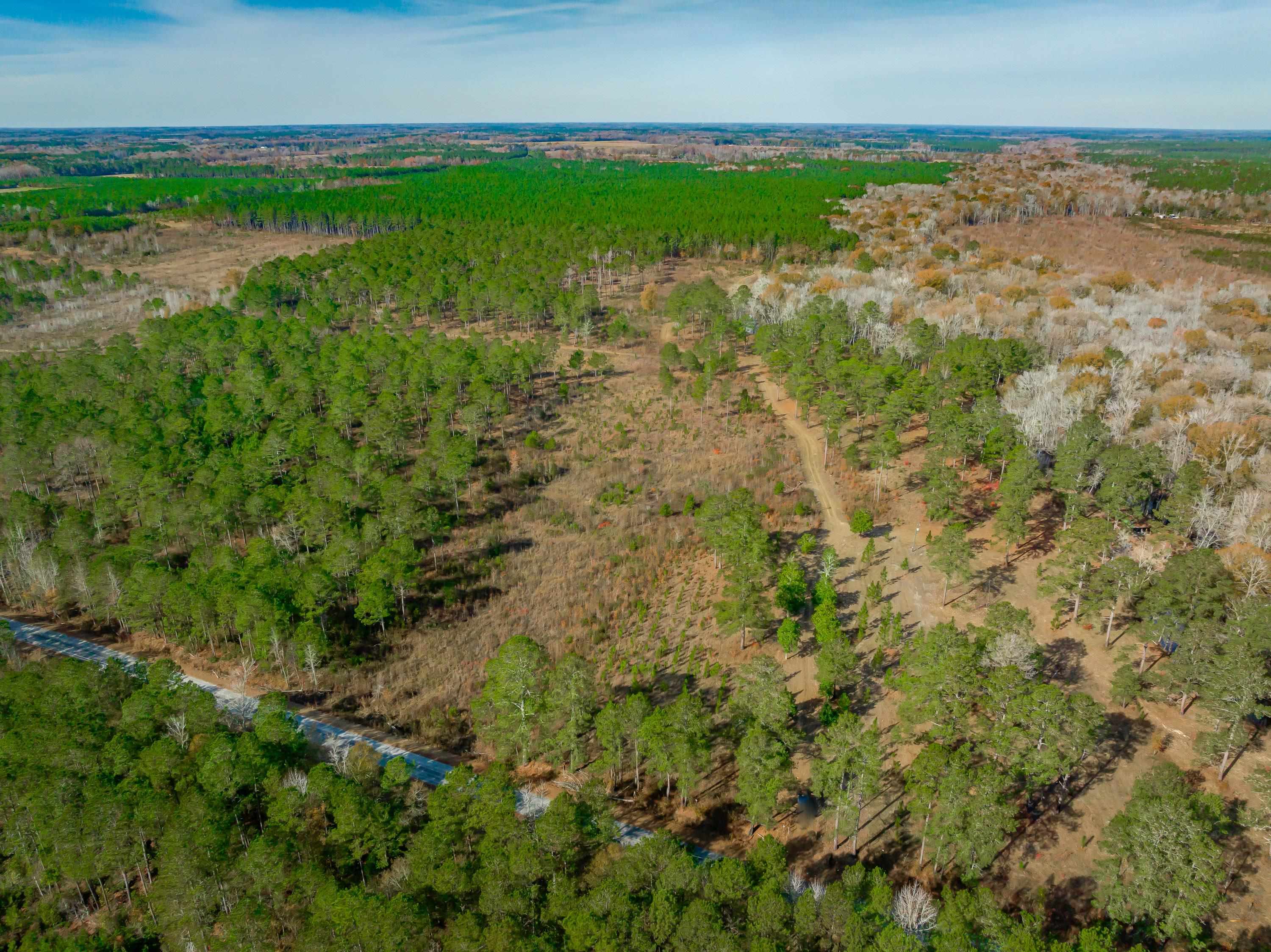0 Mckays Bridge Road Little Rock, SC 29567 - Photo 3 of 40 Aerial overview of property's location featuring a forest