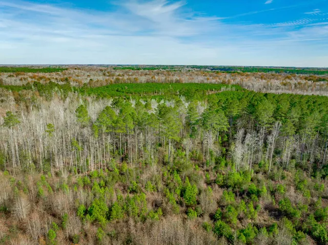 $5,015,330 | 0 Mckays Bridge Road, Little Rock, SC 29567