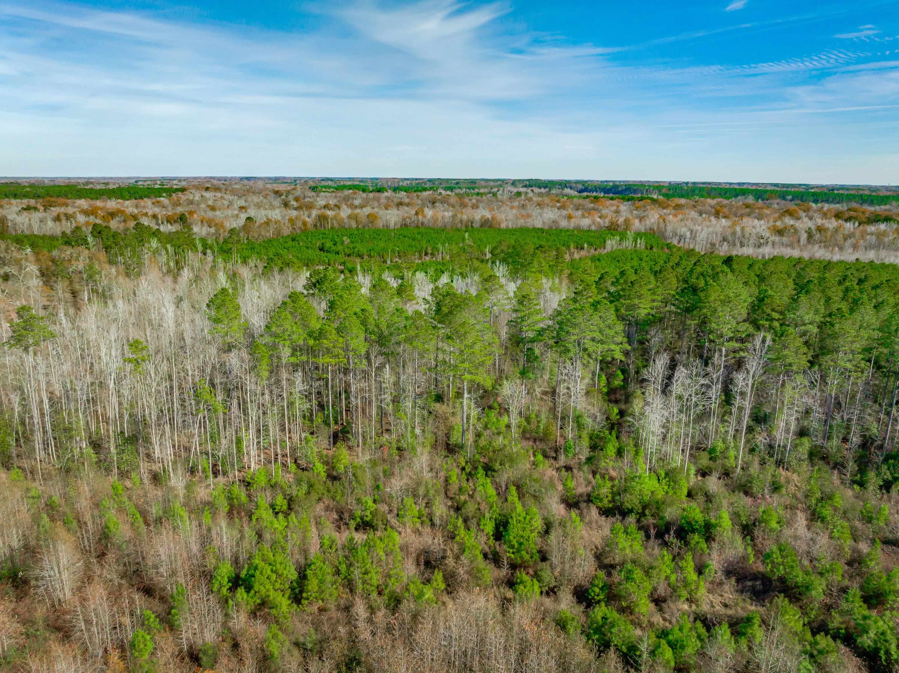 0 Mckays Bridge Road Little Rock, SC 29567 - Photo 31 of 40 Drone / aerial view
