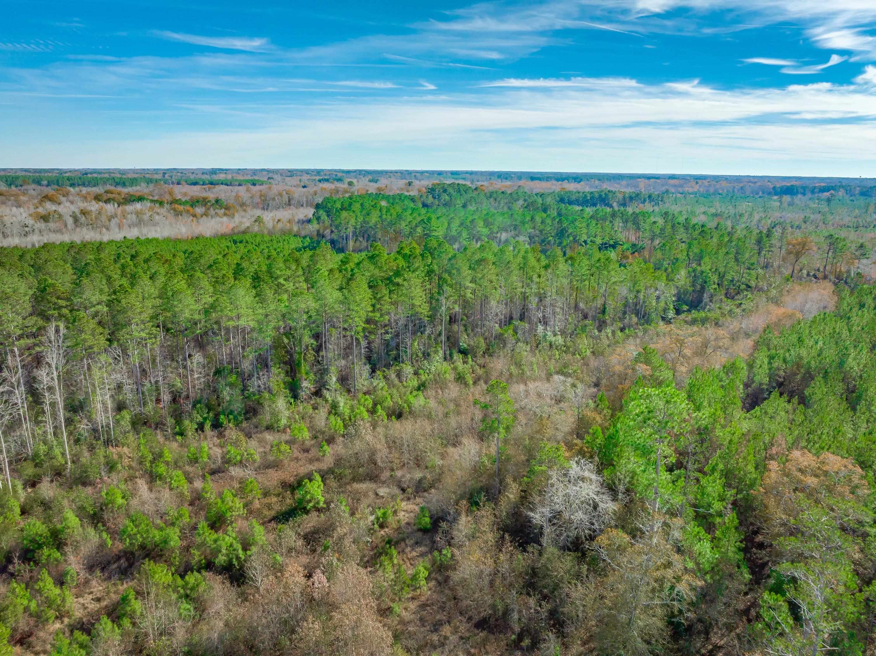 0 Mckays Bridge Road Little Rock, SC 29567 - Photo 32 of 40 Drone / aerial view of a heavily wooded area