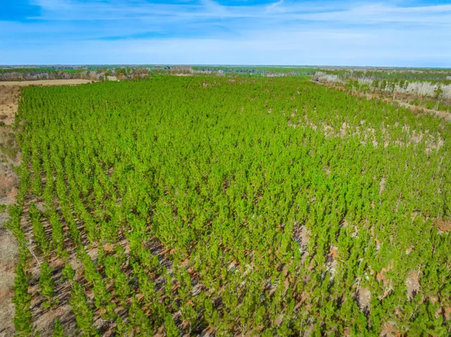 $5,015,330 | 0 Mckays Bridge Road, Little Rock, SC 29567