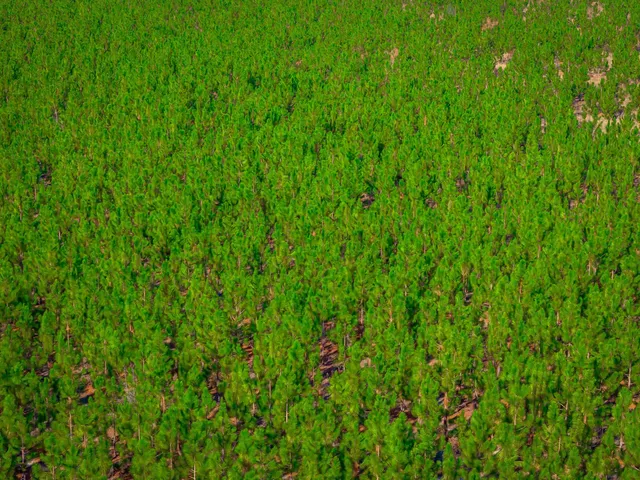 $5,015,330 | 0 Mckays Bridge Road, Little Rock, SC 29567