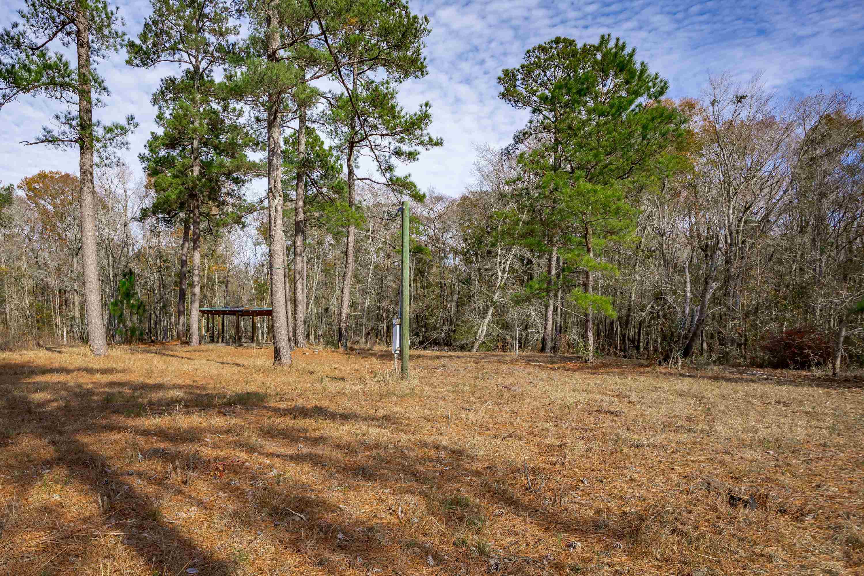 0 Mckays Bridge Road Little Rock, SC 29567 - Photo 35 of 40 View of undeveloped land