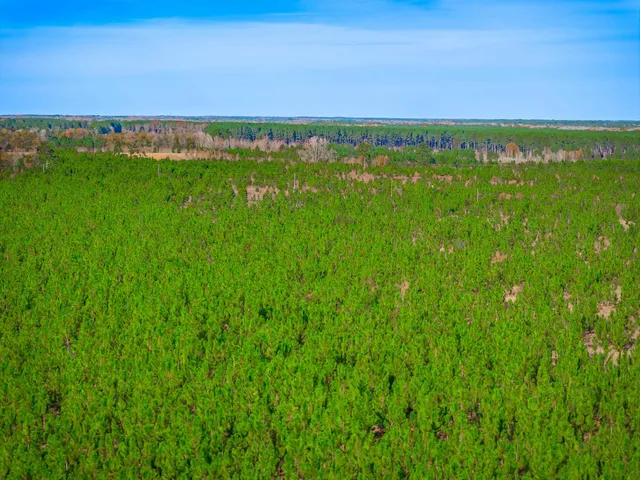 $5,015,330 | 0 Mckays Bridge Road, Little Rock, SC 29567