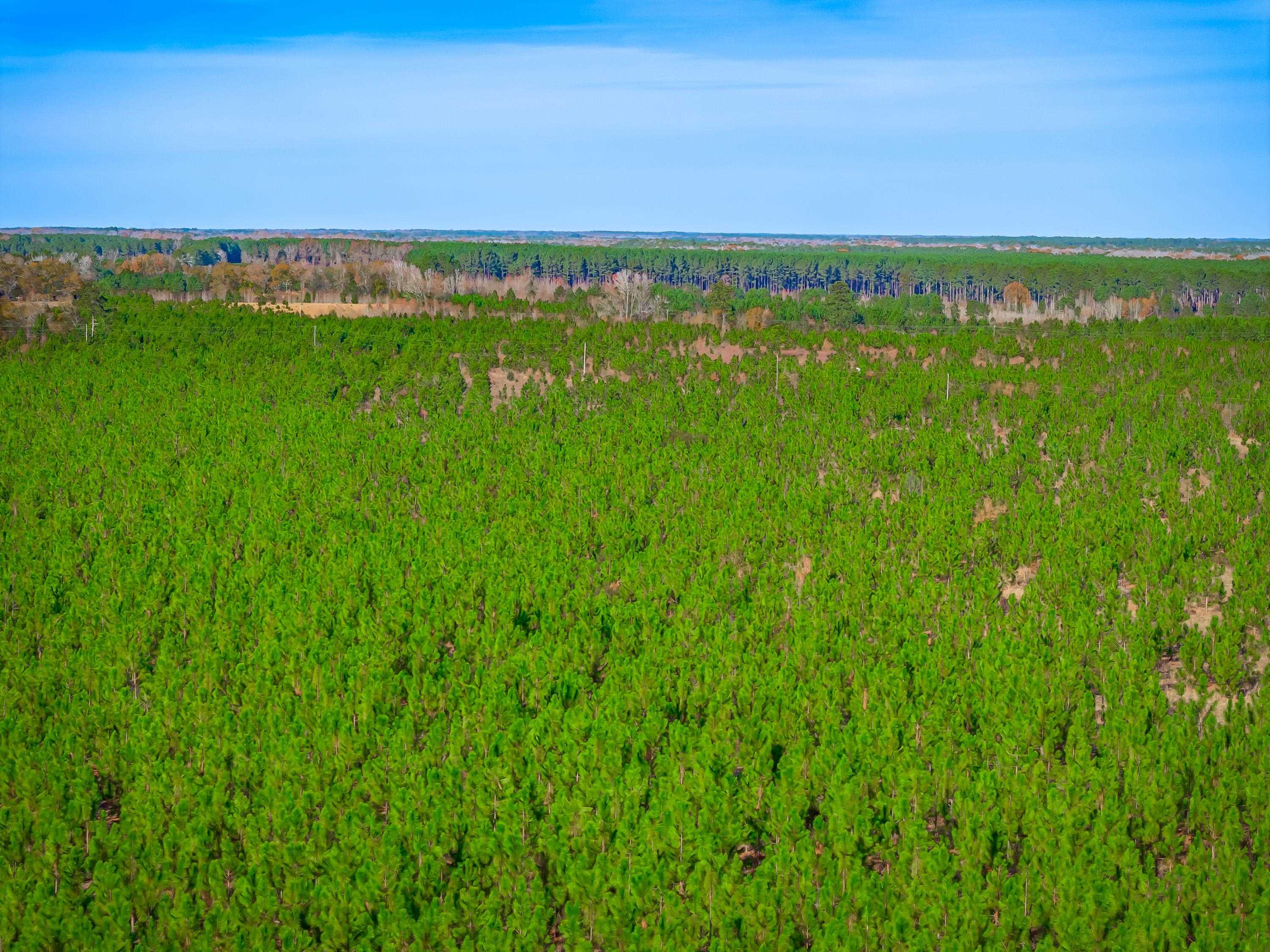 0 Mckays Bridge Road Little Rock, SC 29567 - Photo 36 of 40 Bird's eye view
