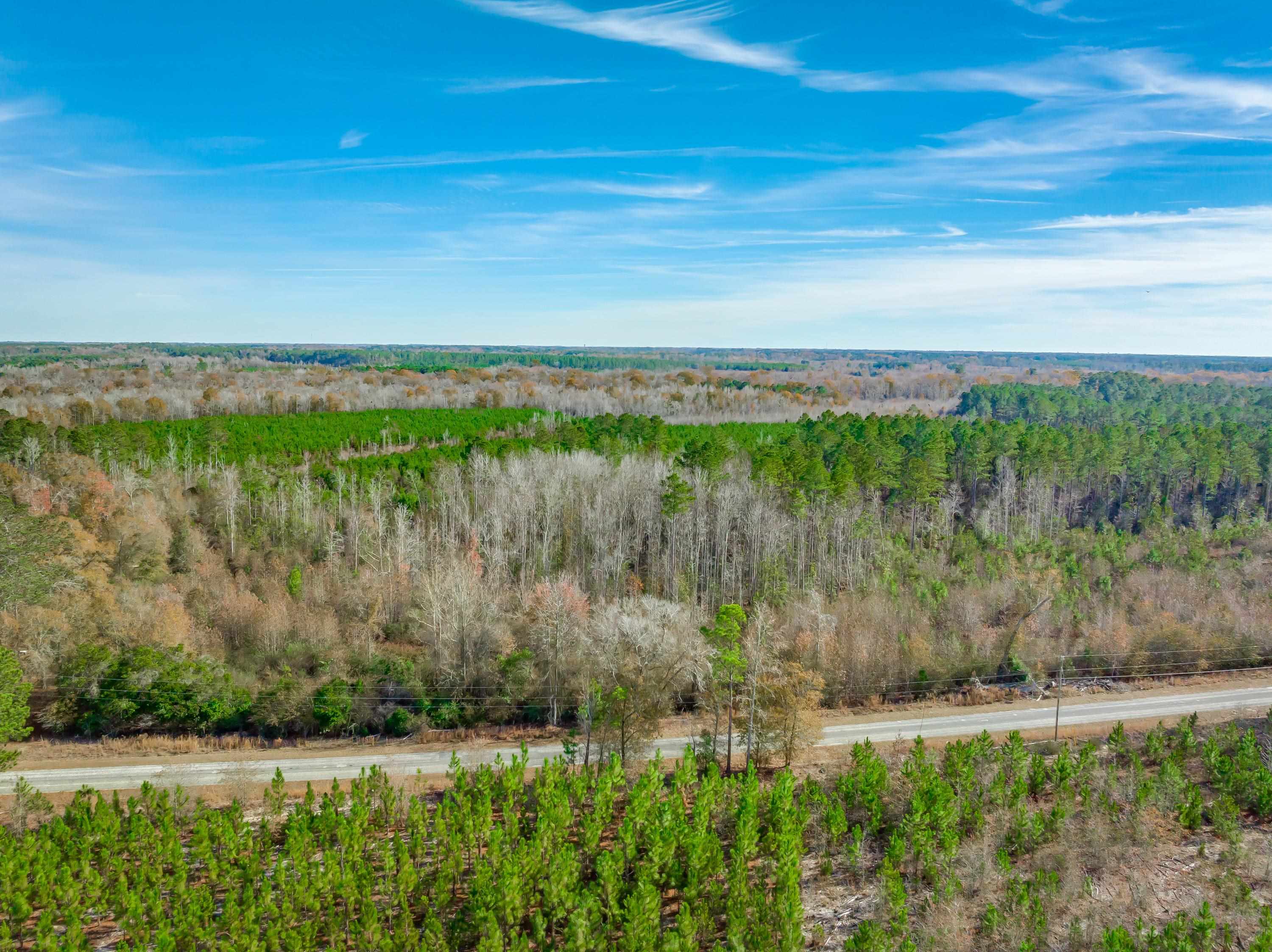 0 Mckays Bridge Road Little Rock, SC 29567 - Photo 37 of 40 Aerial view of a heavily wooded area