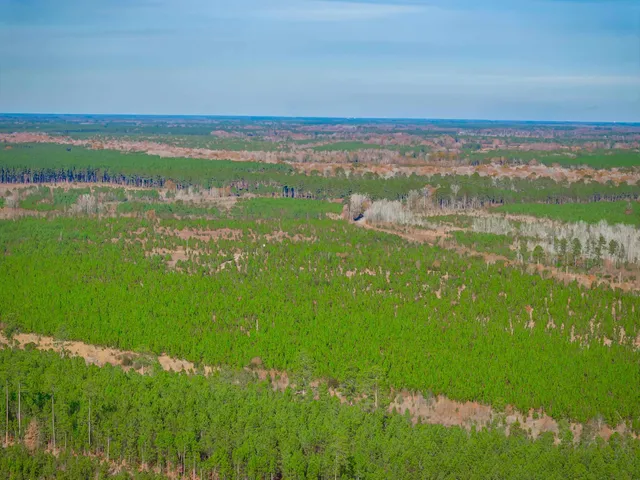 $5,015,330 | 0 Mckays Bridge Road, Little Rock, SC 29567