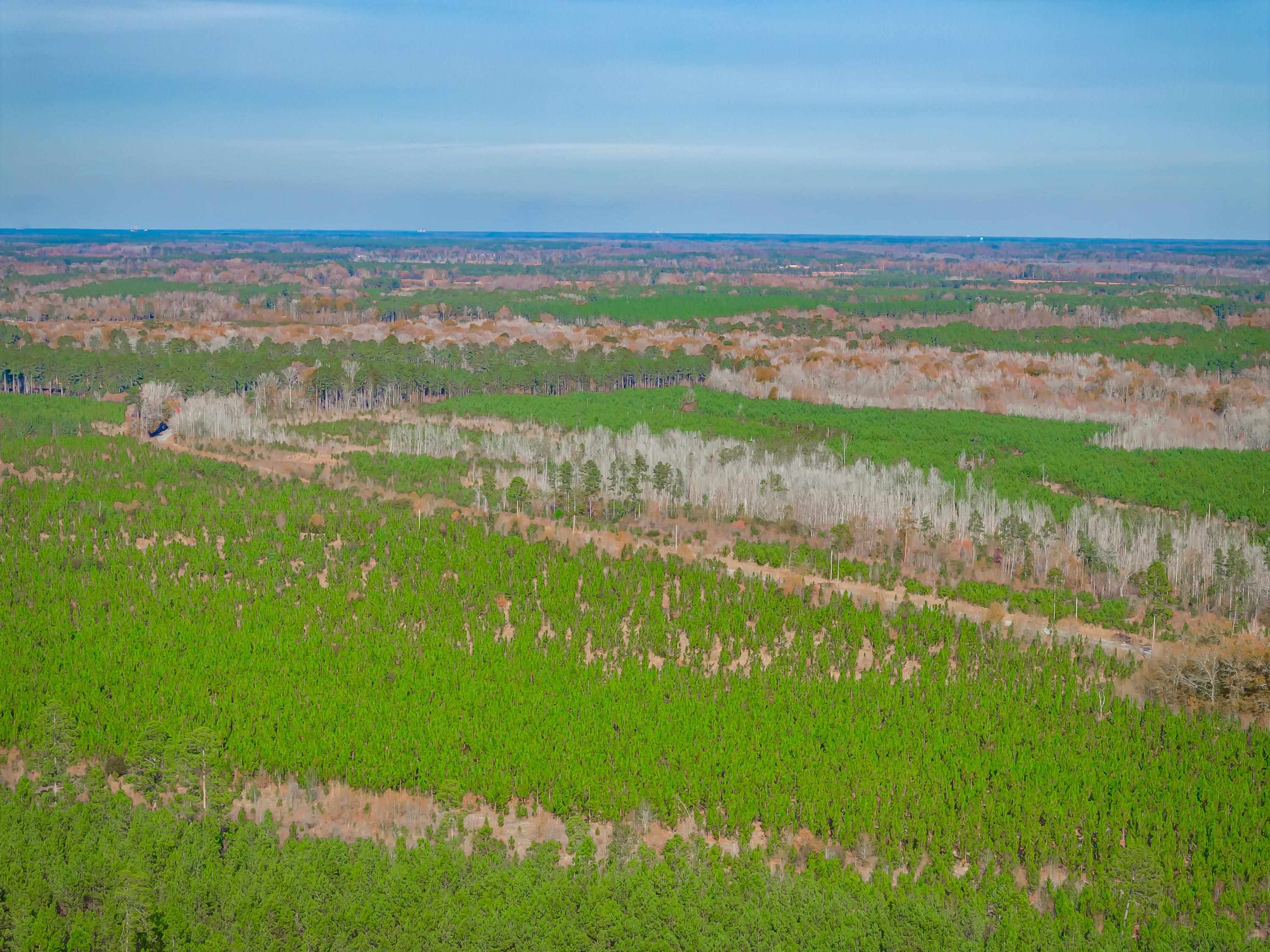 0 Mckays Bridge Road Little Rock, SC 29567 - Photo 39 of 40 Bird's eye view