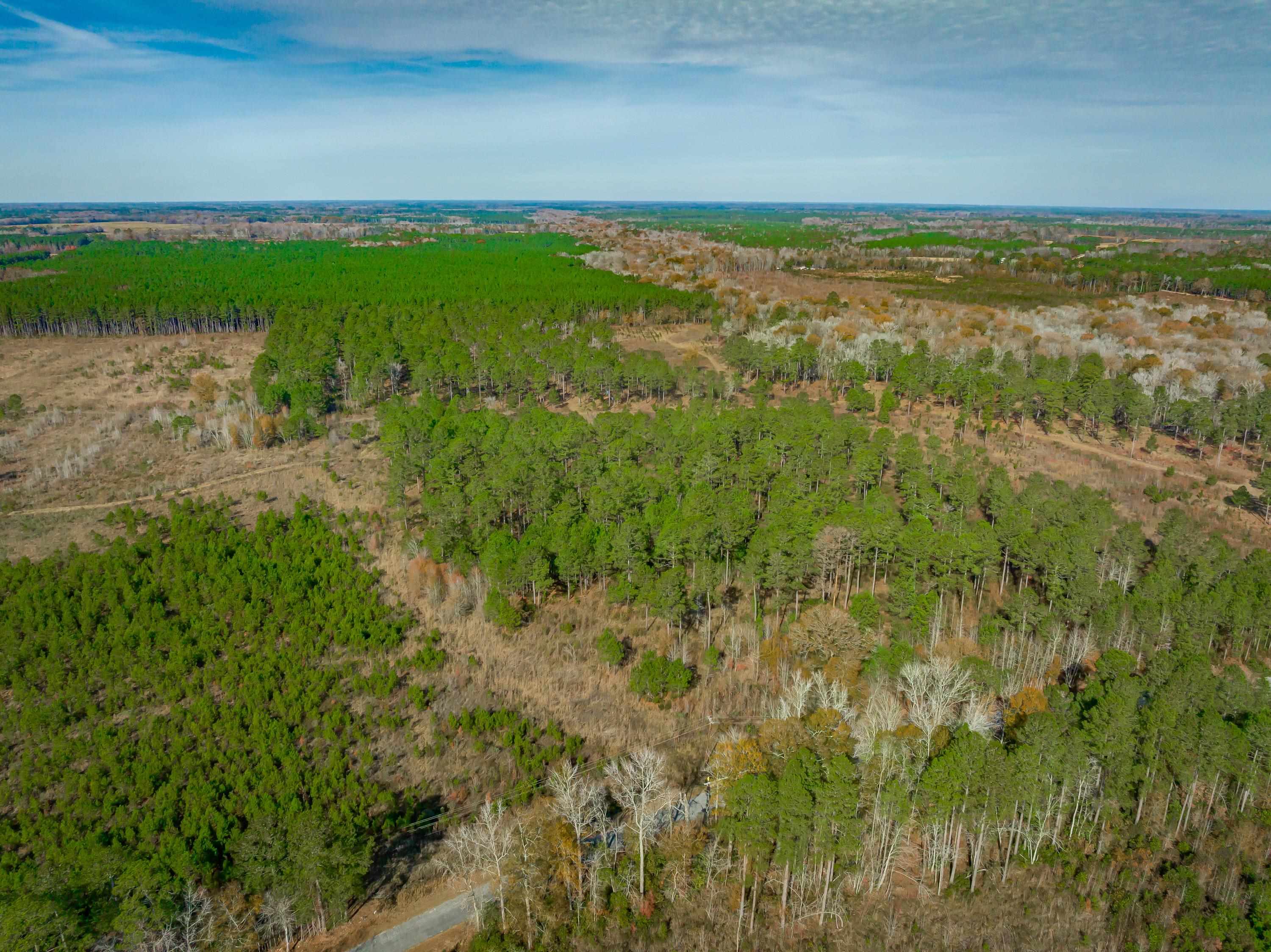 0 Mckays Bridge Road Little Rock, SC 29567 - Photo 4 of 40 Aerial view of property and surrounding area featuring a forest