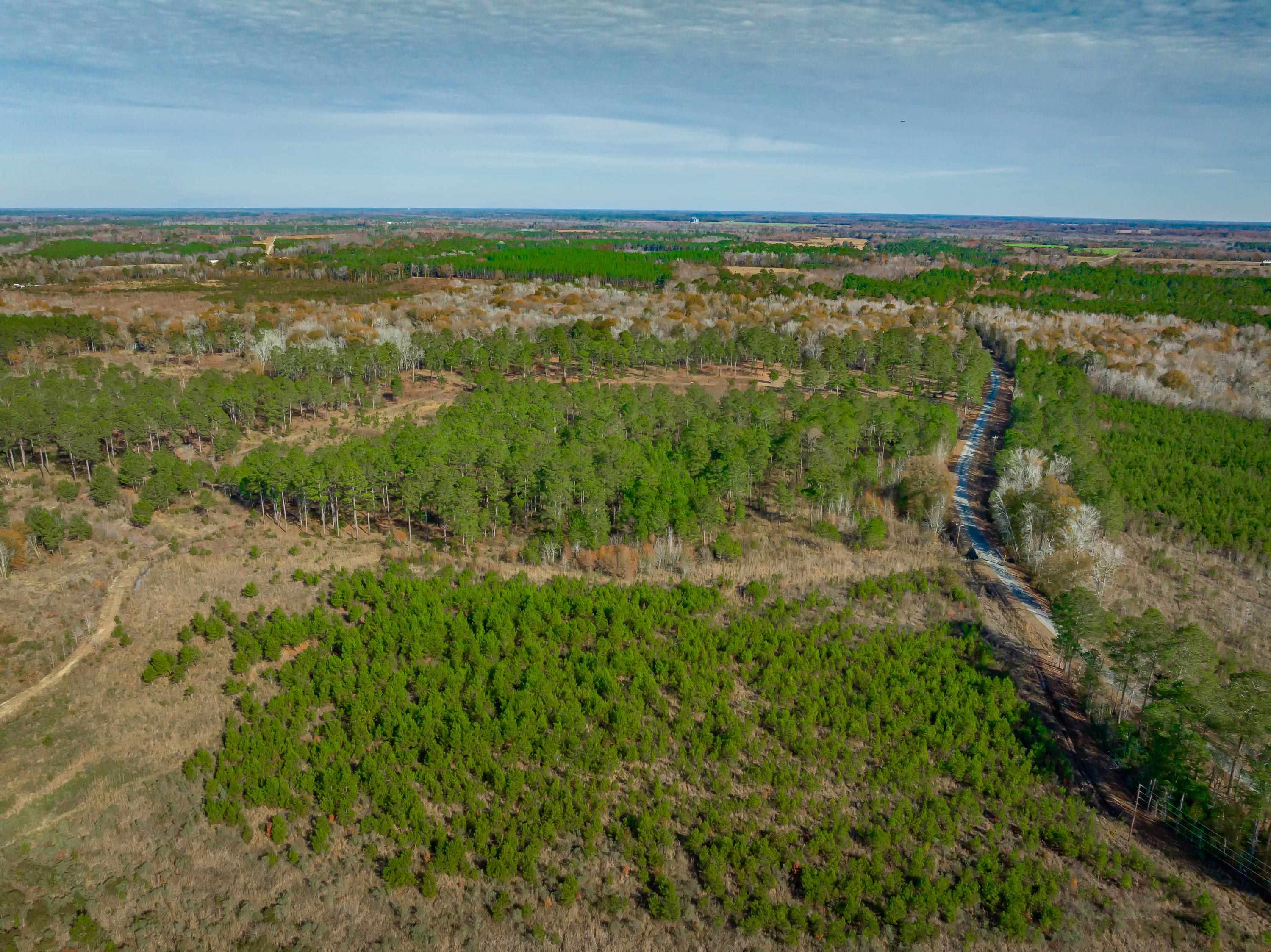 0 Mckays Bridge Road Little Rock, SC 29567 - Photo 5 of 40 Aerial view of property's location with rural landscape