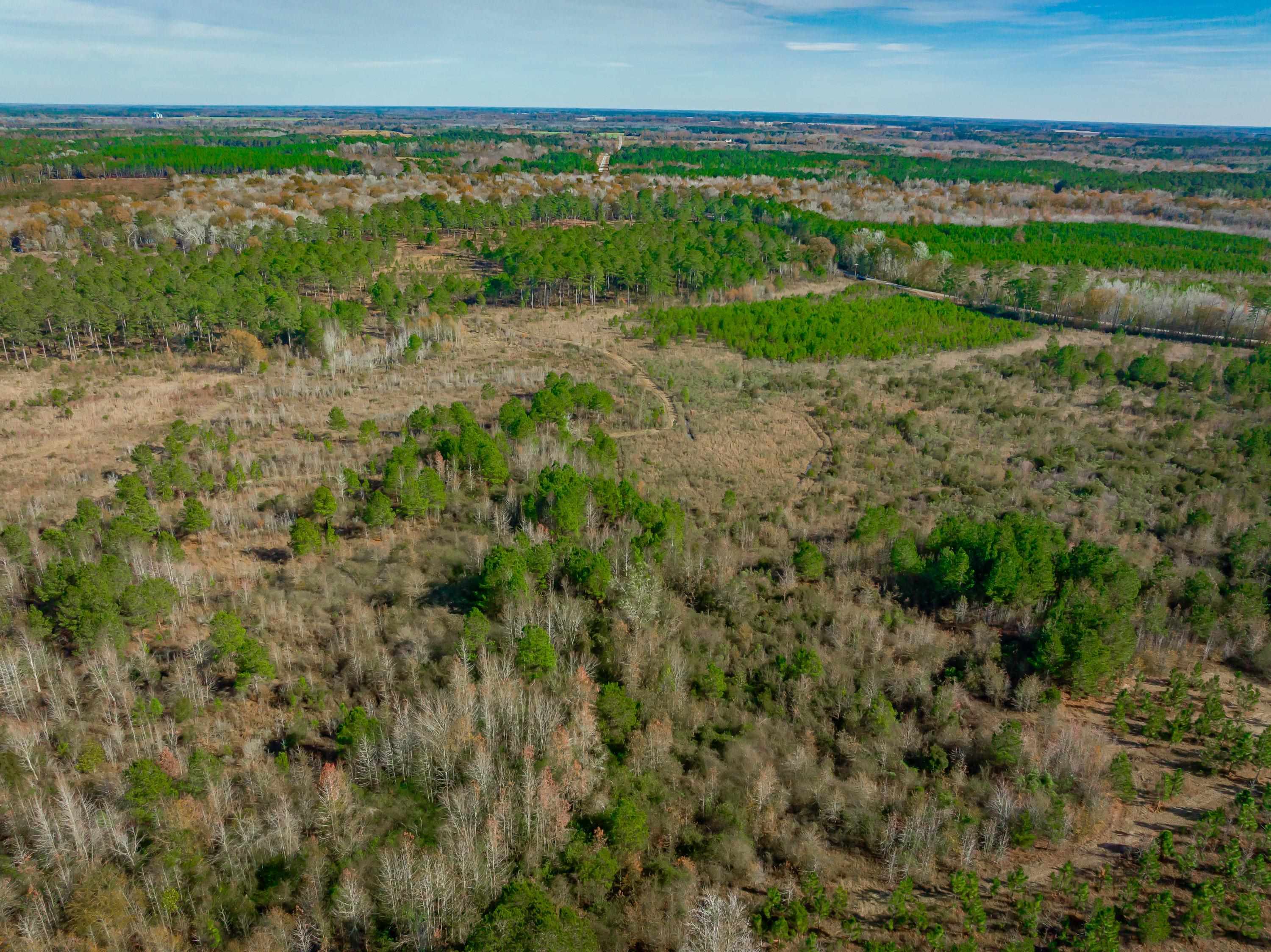 0 Mckays Bridge Road Little Rock, SC 29567 - Photo 6 of 40 Aerial view of property and surrounding area with rural landscape and rows of crops