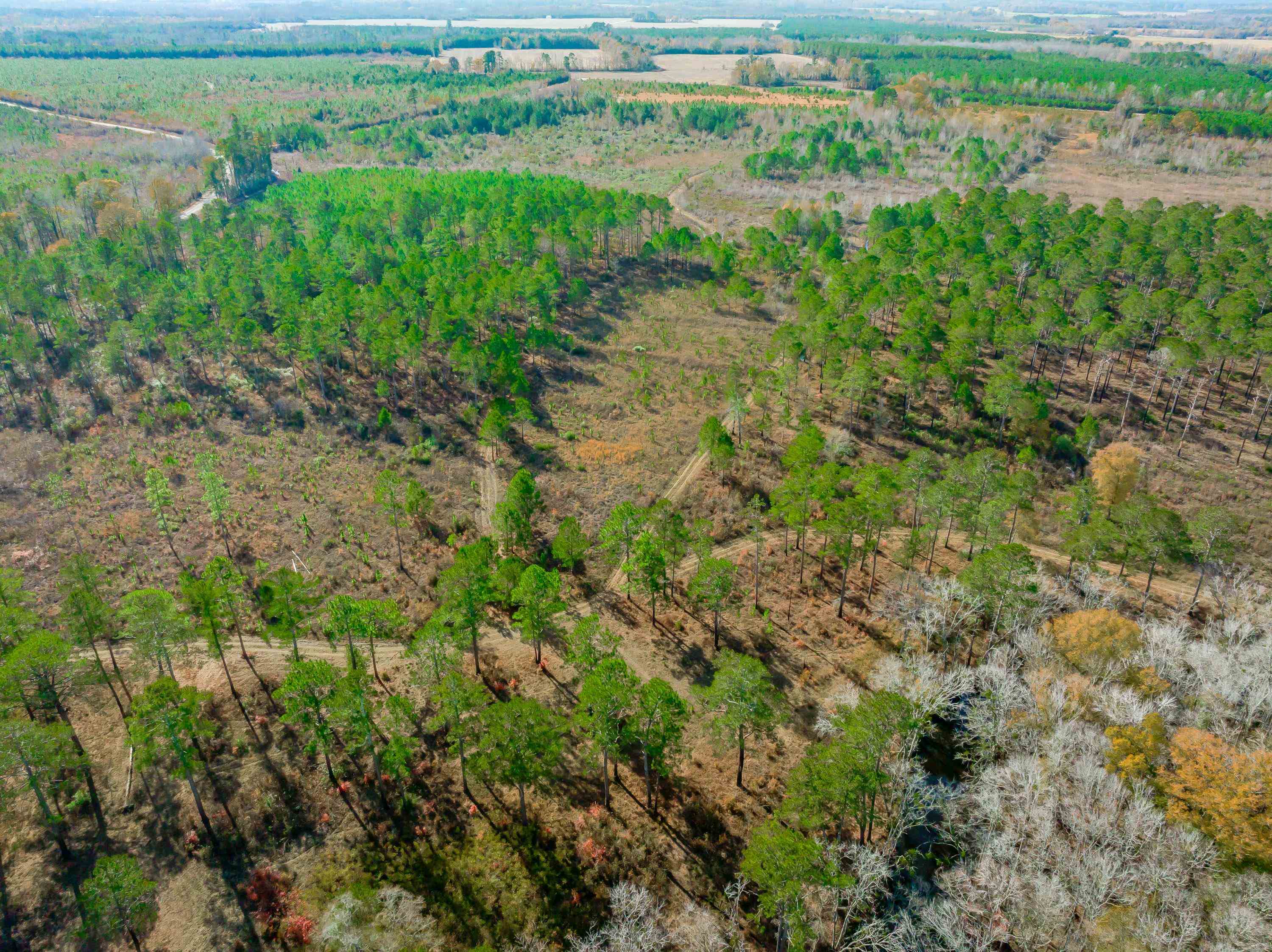 0 Mckays Bridge Road Little Rock, SC 29567 - Photo 9 of 40 Aerial view
