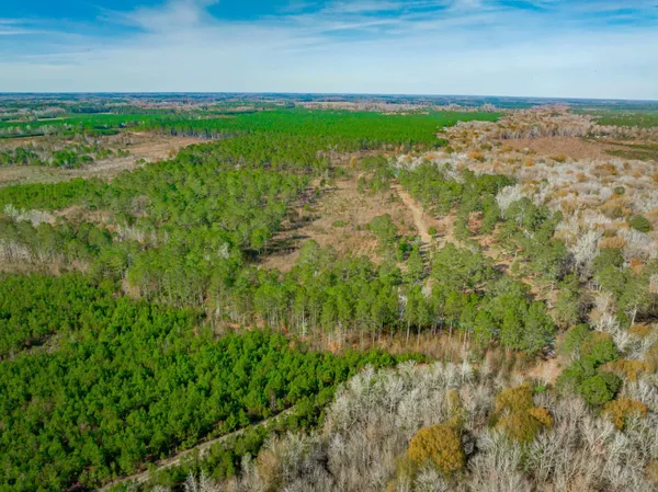 $5,015,330 | 0 Mckays Bridge Road, Little Rock, SC 29567