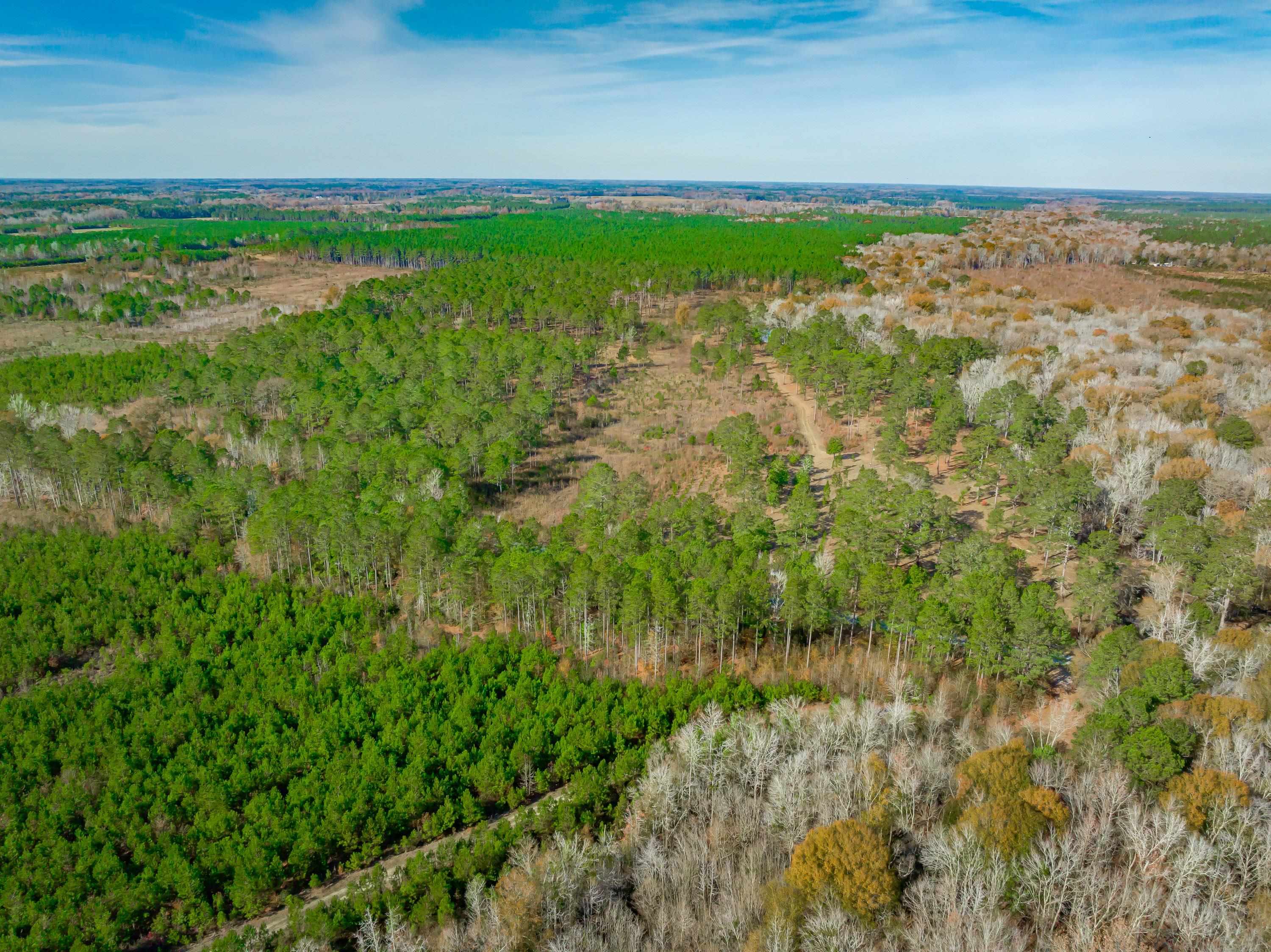 0 Mckays Bridge Road Little Rock, SC 29567 - Photo 10 of 40 Aerial view of property and surrounding area with a heavily wooded area