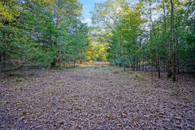a view of outdoor space and tree