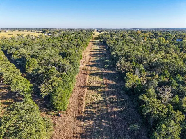 a view of outdoor space and garden