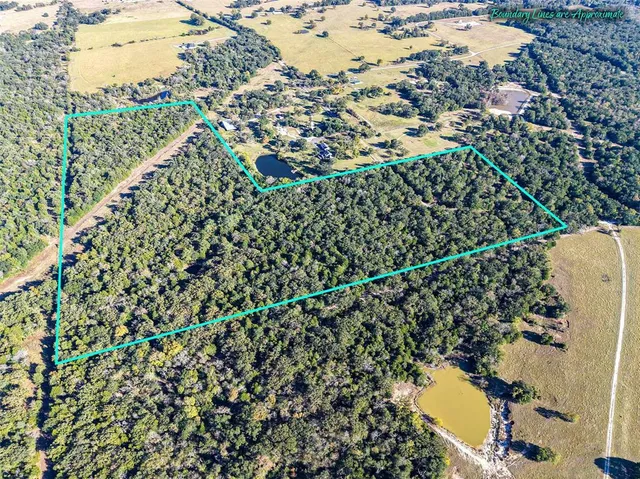 a backyard of a house with a garden