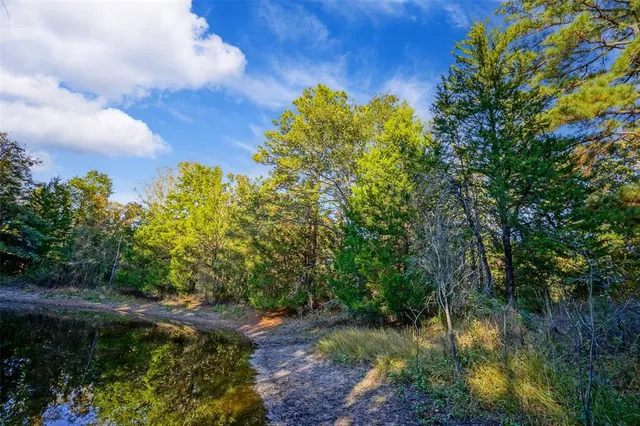 a view of a lake view with a garden