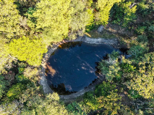 a view of a lush green forest with lots of trees