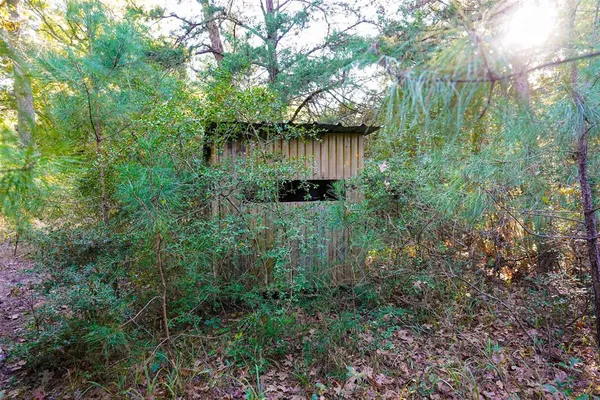 a view of a forest with an outdoor space