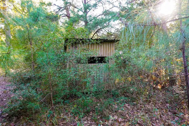 a view of a forest with an outdoor space