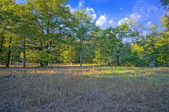 a view of dirt field with trees