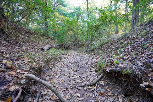 a view of a lake with a yard