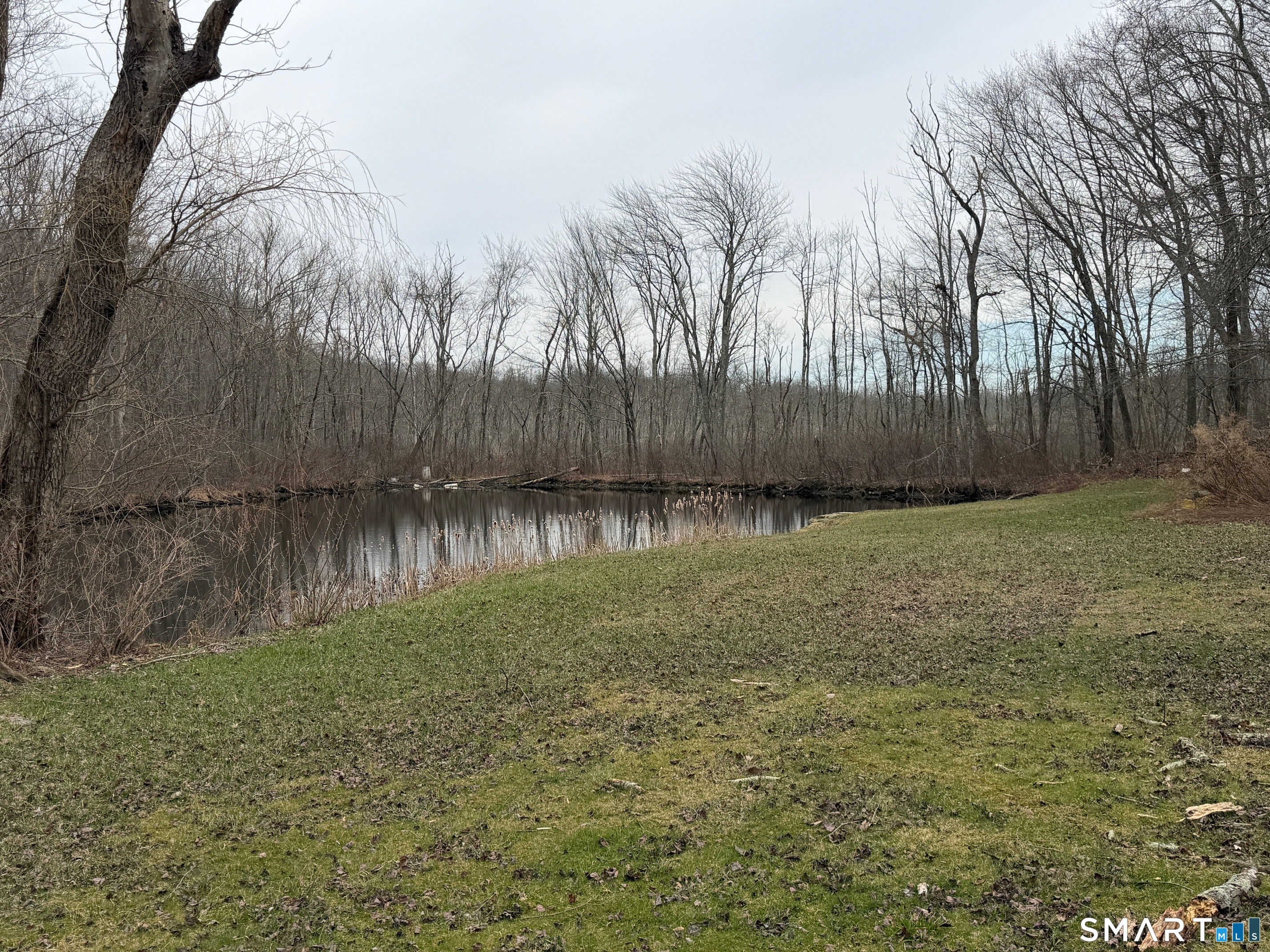 226 Beaumont Highway Lebanon, CT 06249 - Photo 5 of 43 a backyard of a house with lots of green space