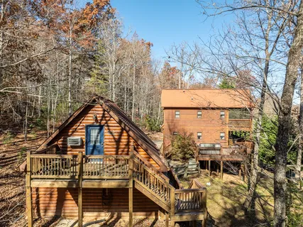 a view of a forest with a mountain and a forest