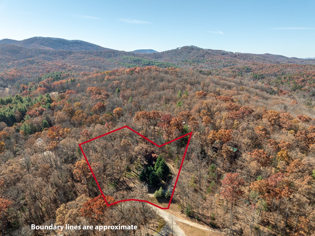165 Christian Crossing Morganton, GA 30560 - Photo 12 of 57 a view of a forest with a mountain and a forest