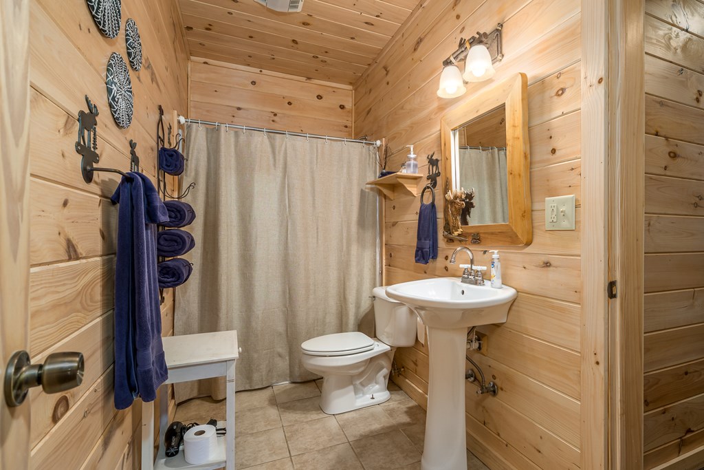 165 Christian Crossing Morganton, GA 30560 - Photo 48 of 57 a bathroom with a sink toilet and shower