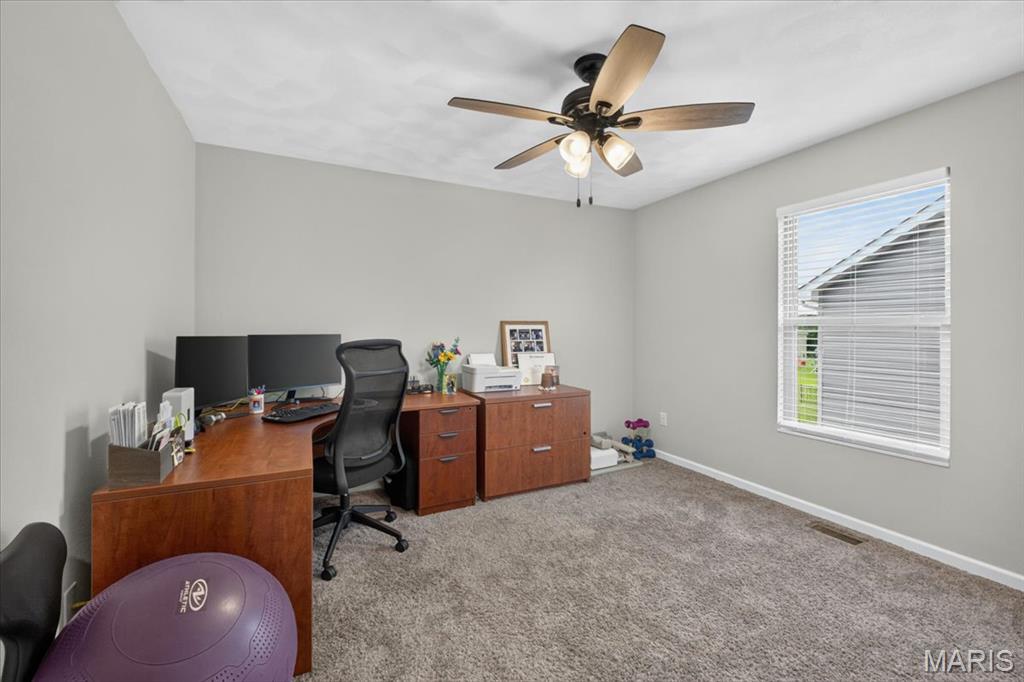 1217 Kirk Lane Waterloo, IL 62298 - Photo 26 of 47 Gallery Image 26