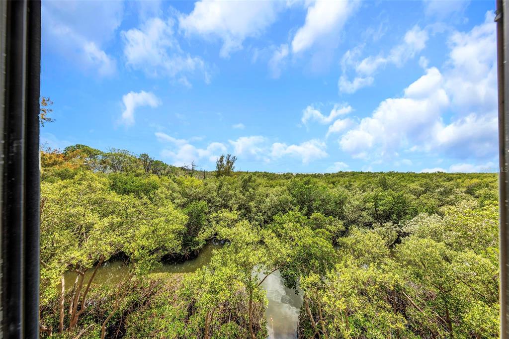 1500 Sunset Road, Unit F7 Tarpon Springs, FL 34689 - Photo 18 of 42