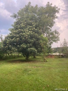 16671 Maggie Road Opp, AL 36467 - Photo 26 of 26 Gallery Image 26