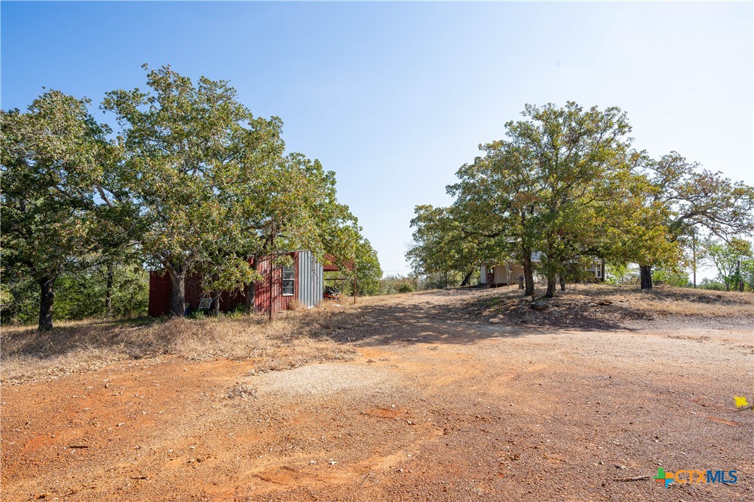 3779 Mule Creek Road Harwood, TX 78632 - Photo 32 of 40 a view of a tree in the middle of a yard